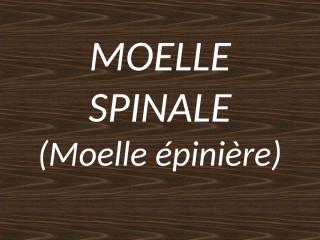 anatomie2an-moelle_spinale.ppt