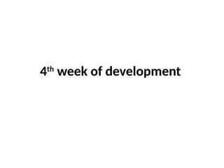 4th _8th week of development-8.pptx